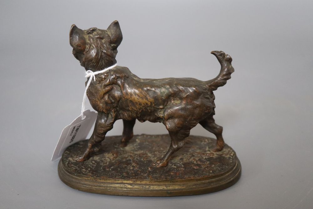 After Pierre Jules Mene. A bronze figure of a terrier, on oval plinth base, height 11cm